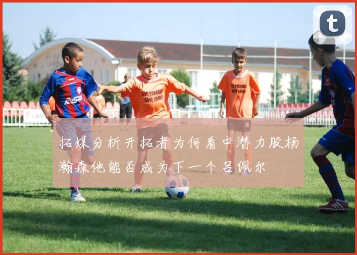 拓媒分析开拓者为何看中潜力股杨瀚森他能否成为下一个吕佩尔