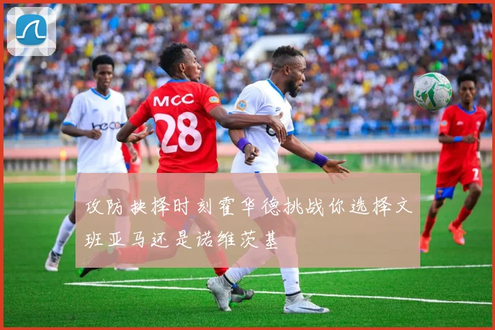 攻防抉择时刻霍华德挑战你选择文班亚马还是诺维茨基