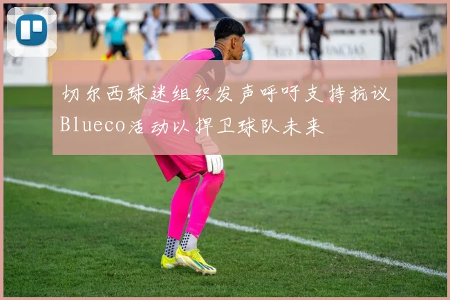 切尔西球迷组织发声呼吁支持抗议Blueco活动以捍卫球队未来